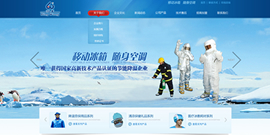 冰王科技发展有限公司