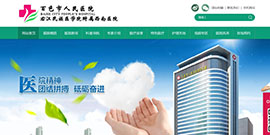 百色市人民医院官方网站