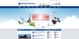 欧镁信息咨询官方网