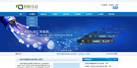 专业版：企业网站C1002