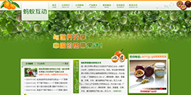 专业版：企业网站C1003